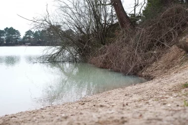 Etang de Paloumey   Bord de l'eau.